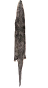 Otter Pelt
