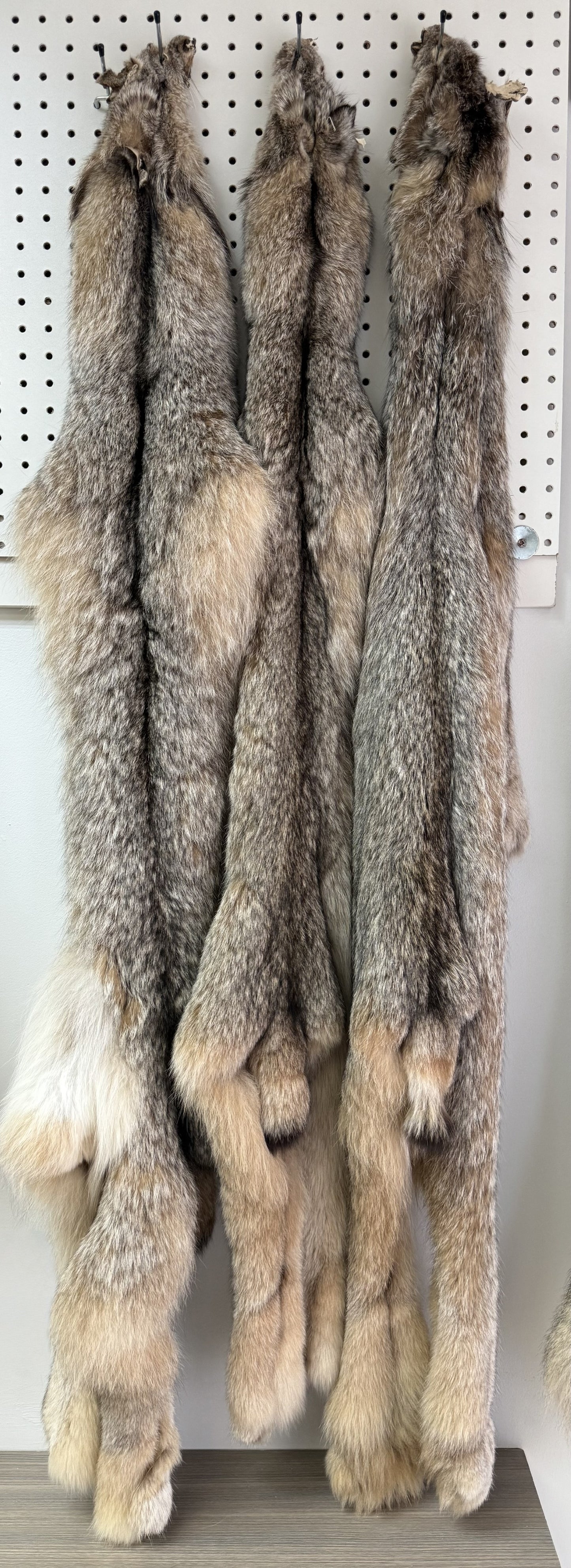 Lynx Pelt
