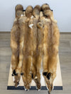 Red Fox Pelt