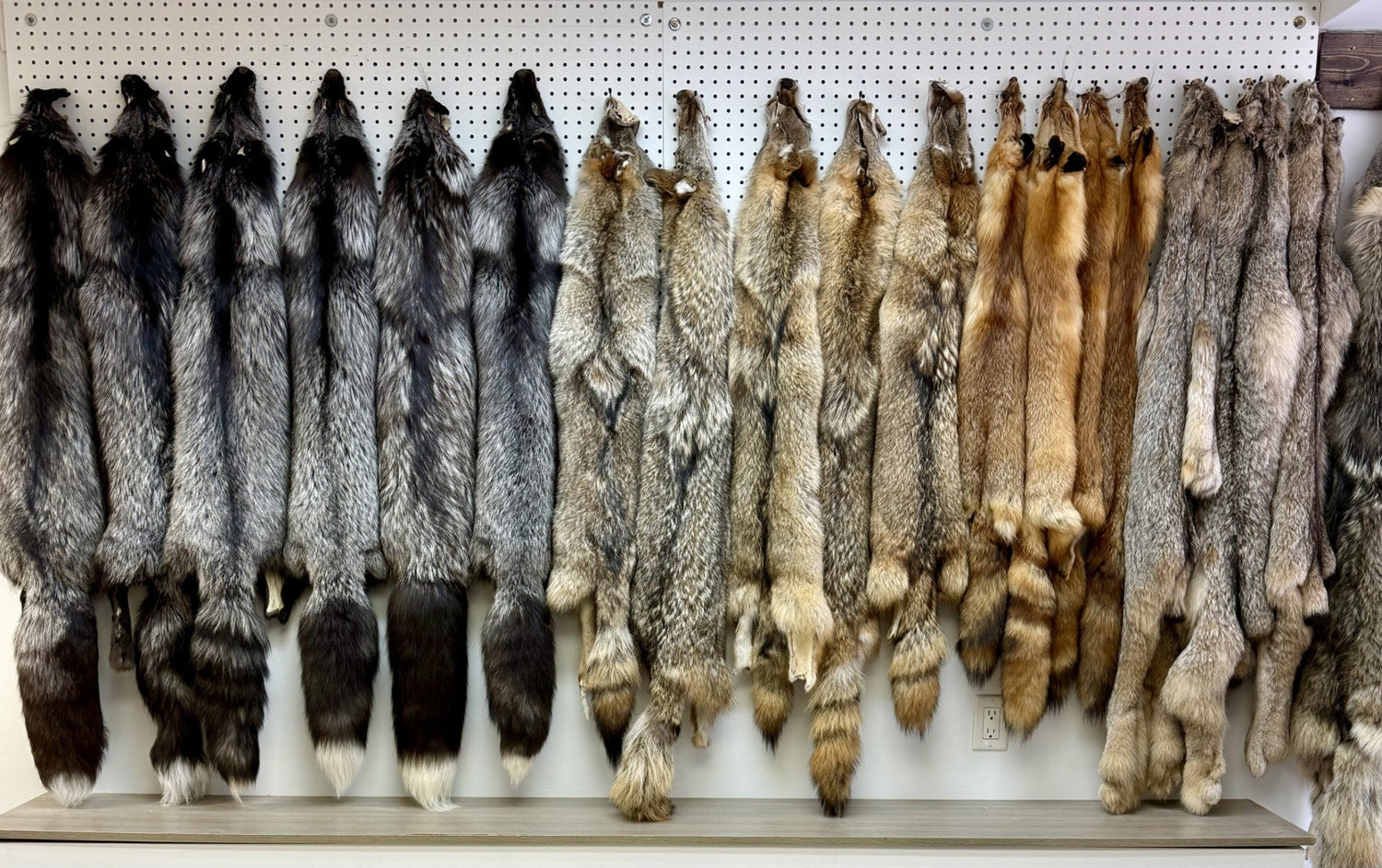 Fur Pelts & Leather