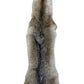 Coyote Pelt
