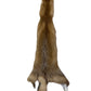 Red Fox Pelt