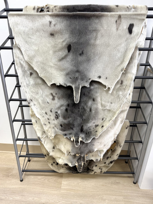 Seal Skin