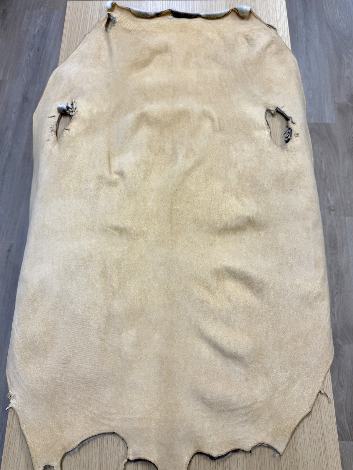 Fur Shell Skin Seal Skin – Fur The North