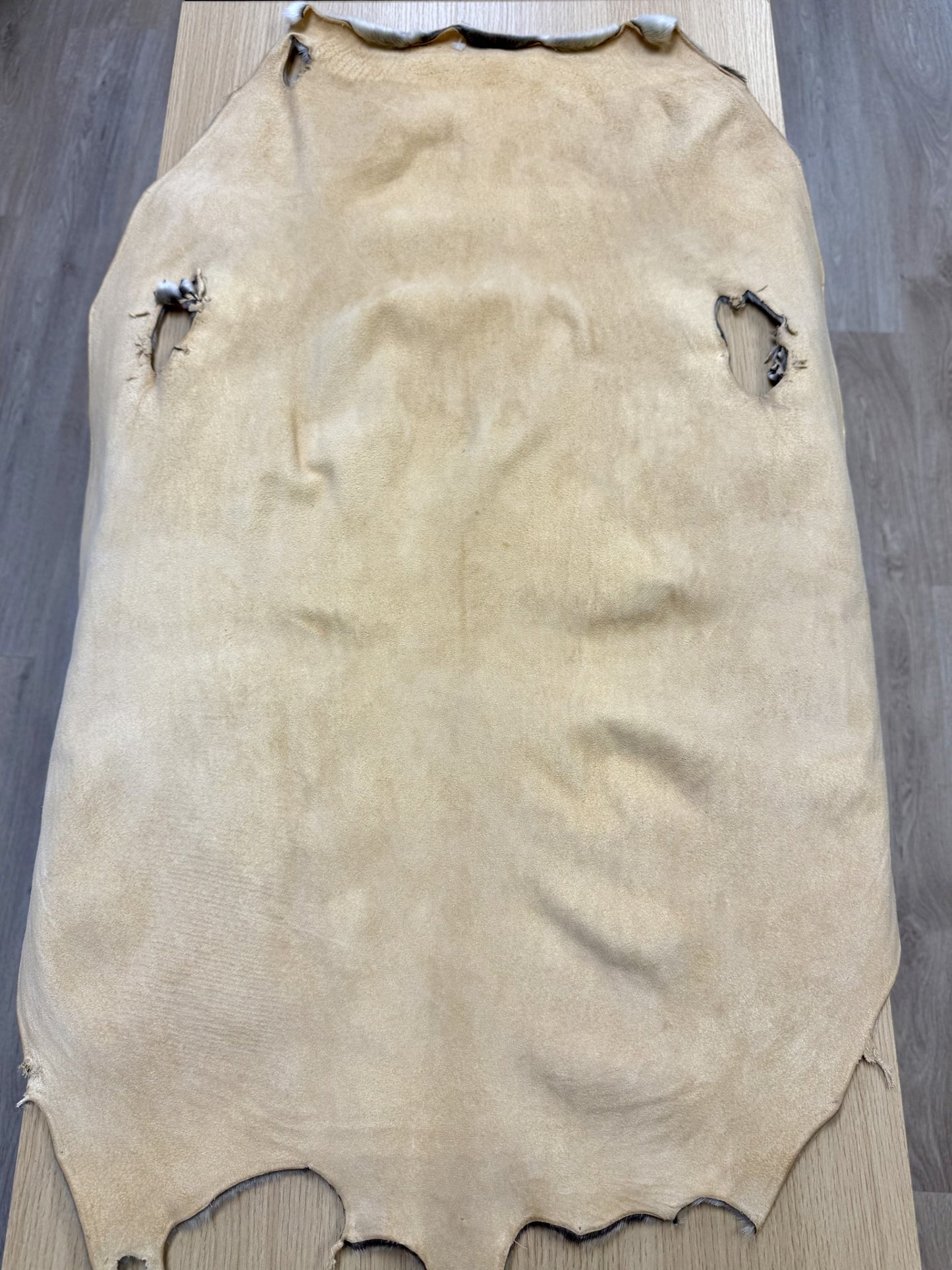 Seal Skin