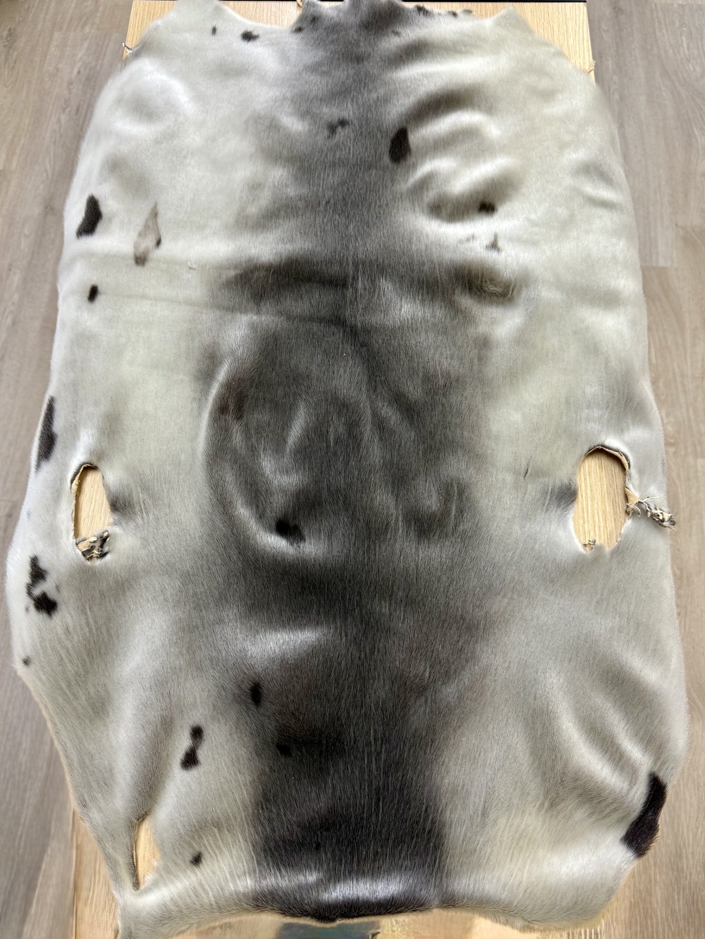 Seal Skin