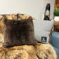 Sheared Beaver Pillow Set (2)