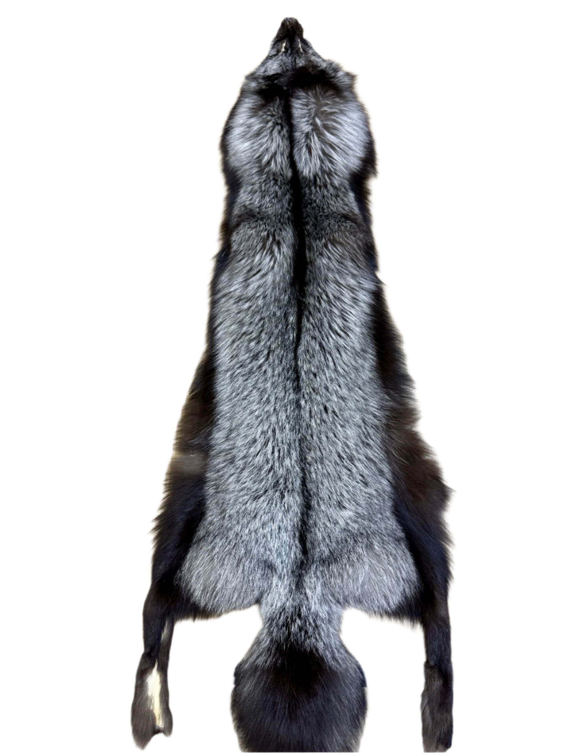 Silver Fox Pelt (XL)