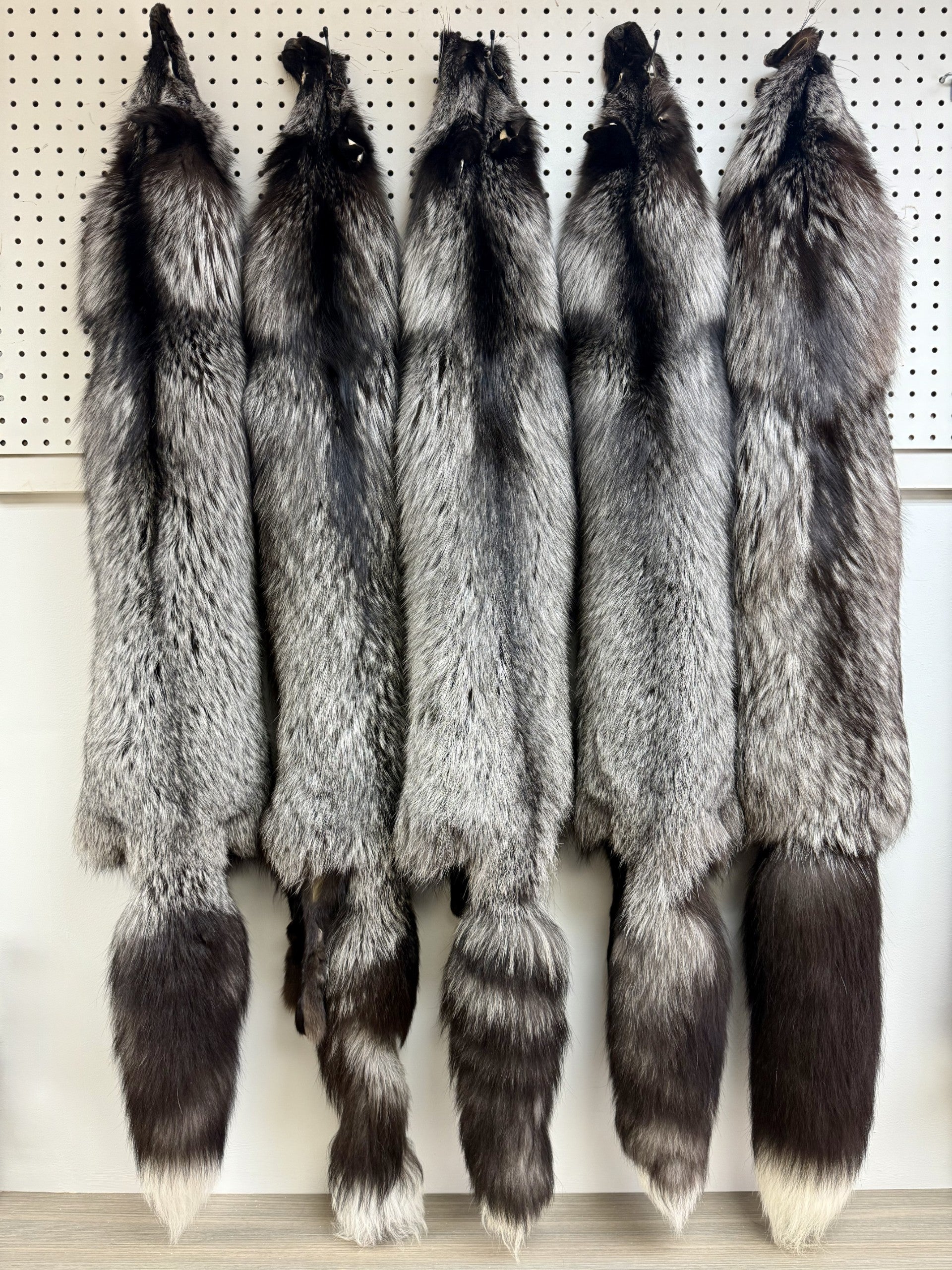 Silver Fox Pelt (XL)