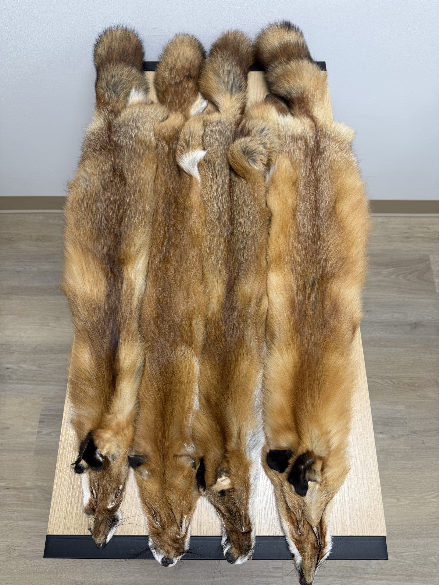 Red Fox Pelt