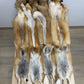 Red Fox Pelt