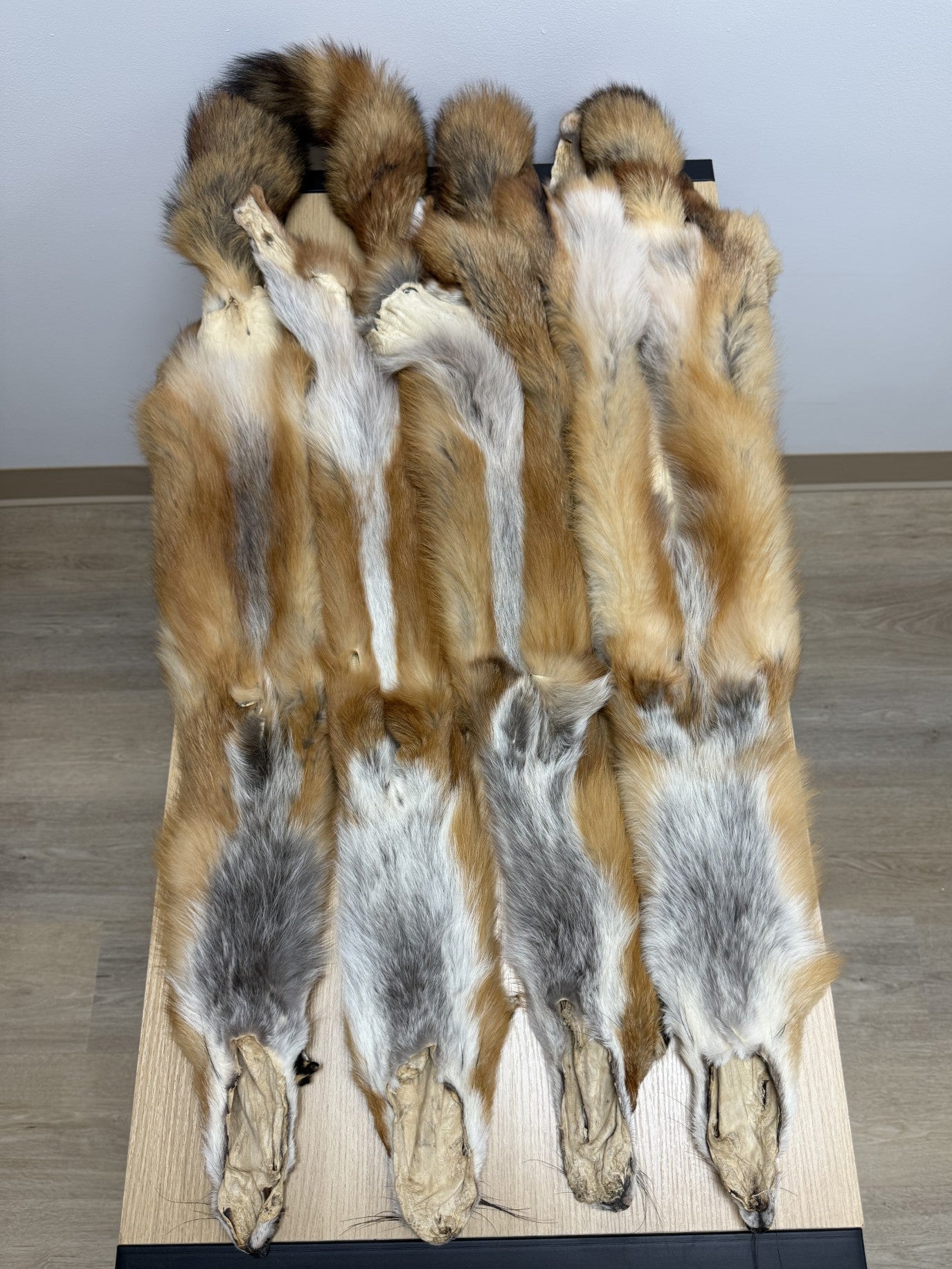 Red Fox Pelt